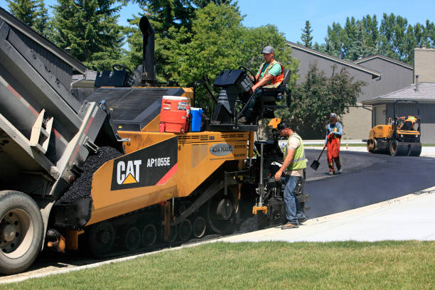 Best Professional Driveway Pavers  in Santa Rosa, TX